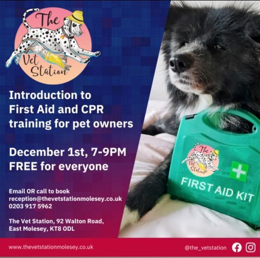 Introduction to First Aid and CPR Training for Pet Owners, The