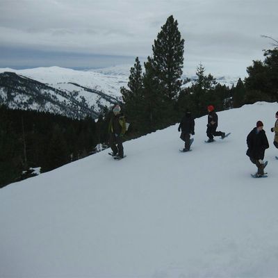 Grown-up Field Trip: Snowshoeing