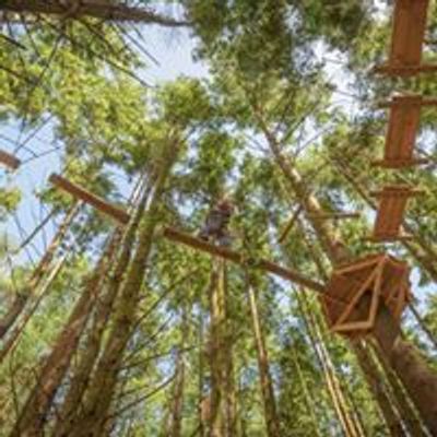 The Tunnel Tree Tops
