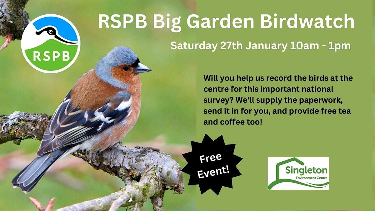 Big Garden Birdwatch 2025, Singleton Environment Centre, Ashford, 27