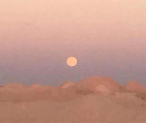 Full Moon - Hunters Moon | Event in Alexandria | AllEvents