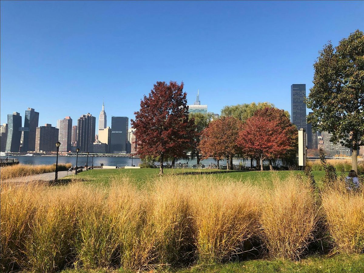First Day Hike along Hunters Point Waterfront, 1 January | Event in New York | AllEvents