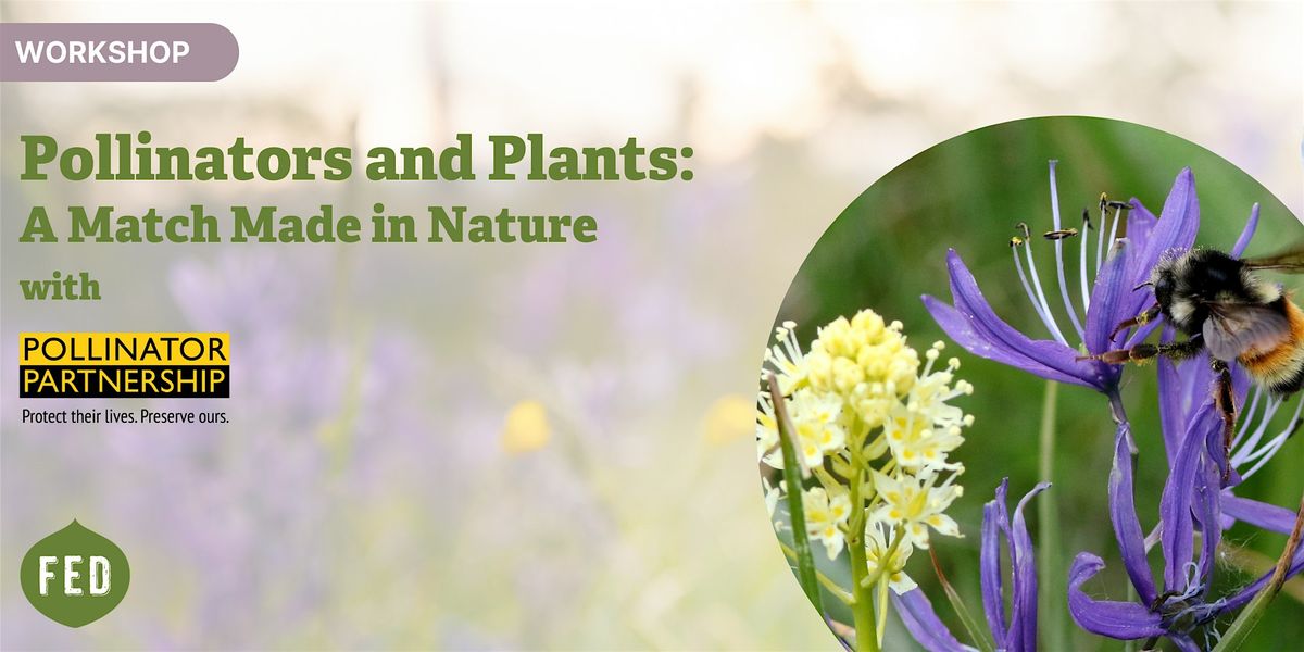 Pollinators and Plants: A Match Made in Nature, Urban Learning Garden ...