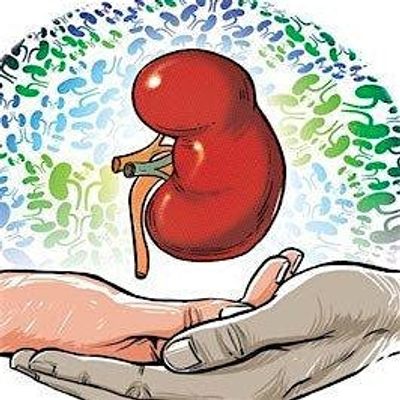 @transplant4kids logo