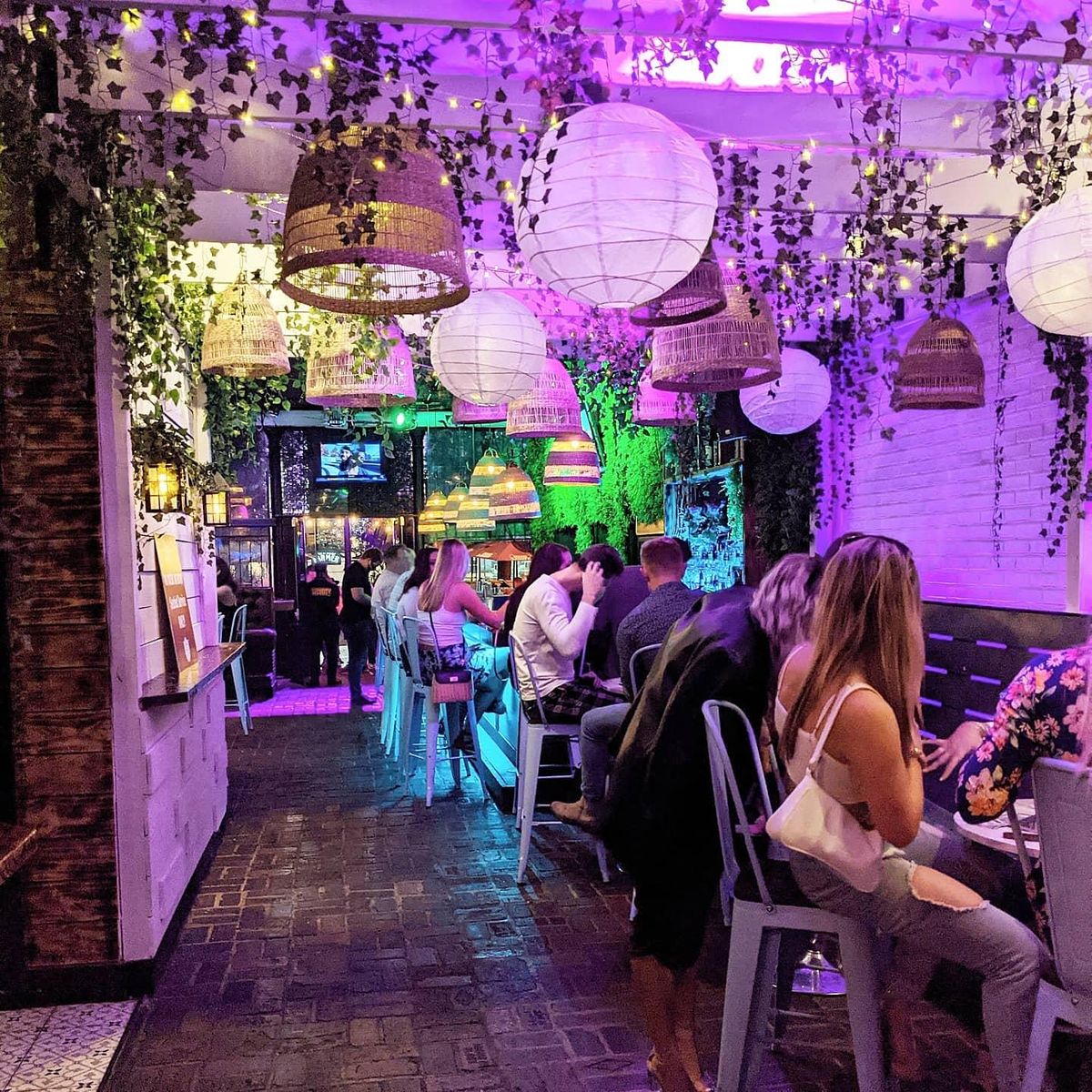 Meet Me Locally Single Professional Mixer At The Garden Downtown St meet-me-locally-single-professional-mixer-at-the-garden-downtown-st