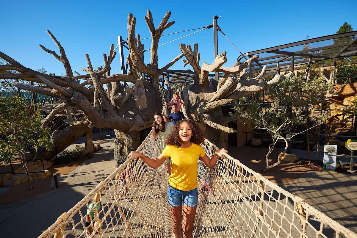 San Diego Zoo Entrada y Transporte desde Tijuana, Hotel Pueblo Amigo