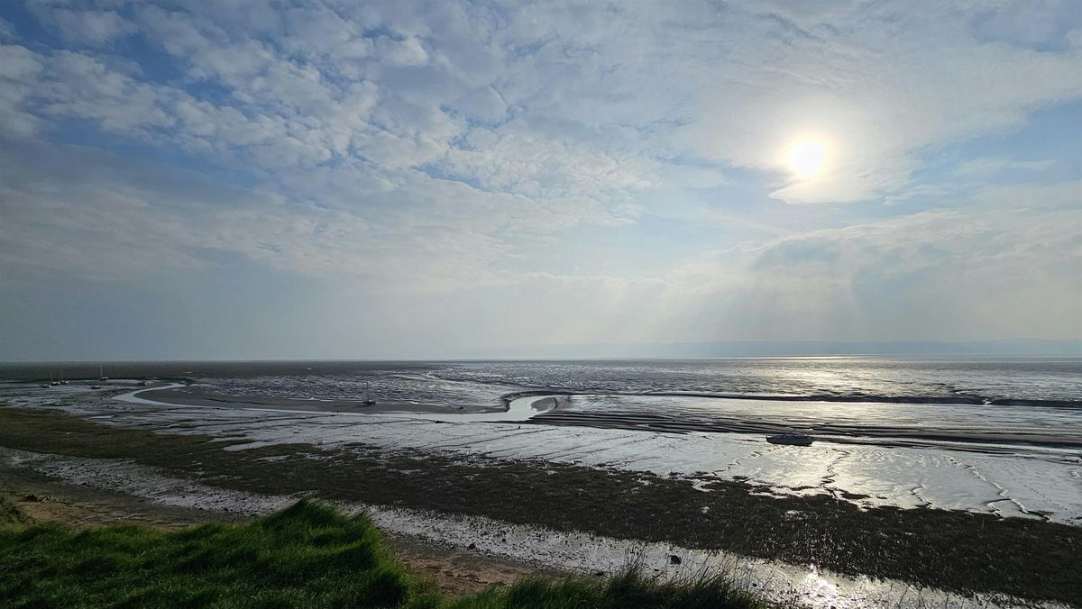 Shell Heswall Heswall Fields & Shore Invertebrate Recording Day, Heswall Shore, 23 ...