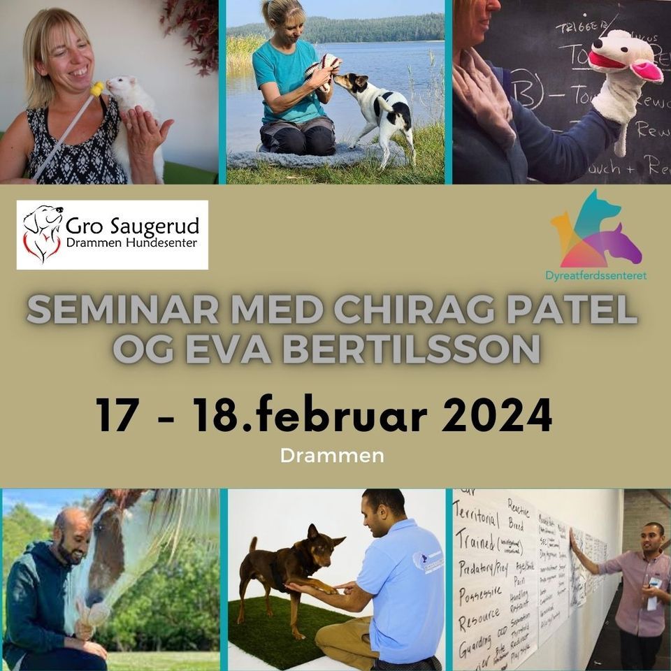 Seminar Med Eva Bertilsson Og Chirag Patel 2024 Nedre Eikervei 65 seminar-med-eva-bertilsson-og-chirag-patel-2024-nedre-eikervei-65