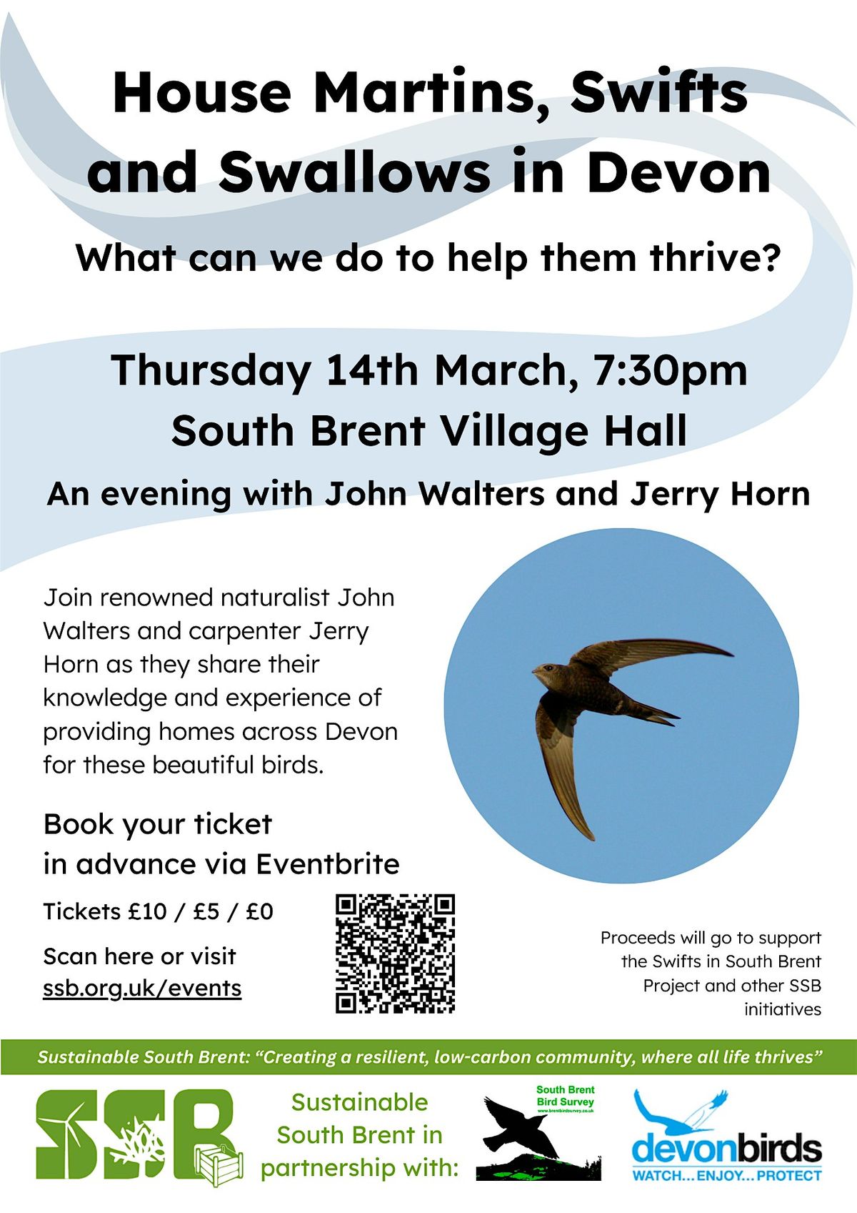 House Martins, Swifts and Swallows in Devon, South Brent Village Hall