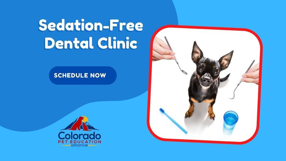SedationFree Dental Clinic, Colorado Pet Education Alliance, Ken Caryl