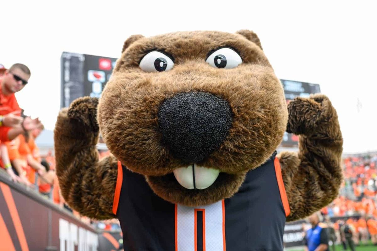 Oregon State Beavers vs. Wake Forest Demon Deacons, 10 October | Event in Corvallis | AllEvents