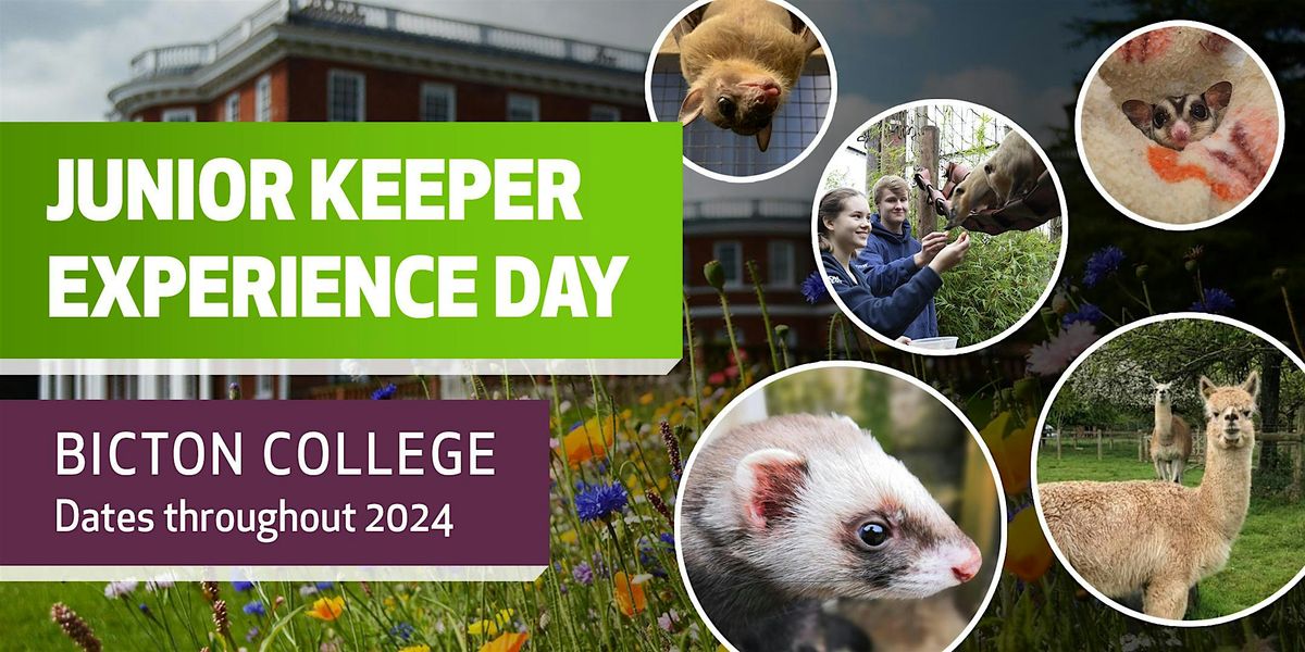 Junior Keeper Experience Day | Event in East Budleigh | AllEvents