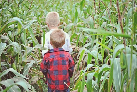 Hansons Corn Maze, Hanson's Garden Village of Rhinelander, WI