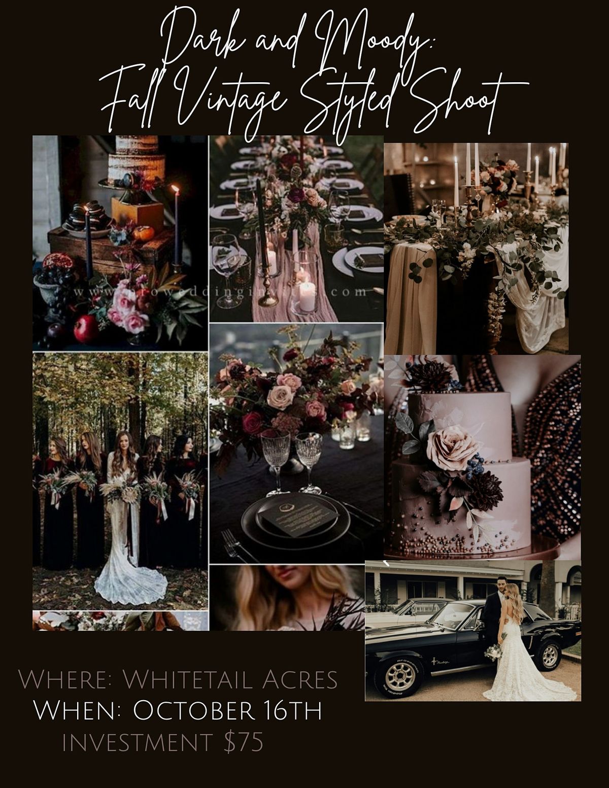 Dark and Moody Vintage Fall Styled Shoot, Whitetail Acres Wedding