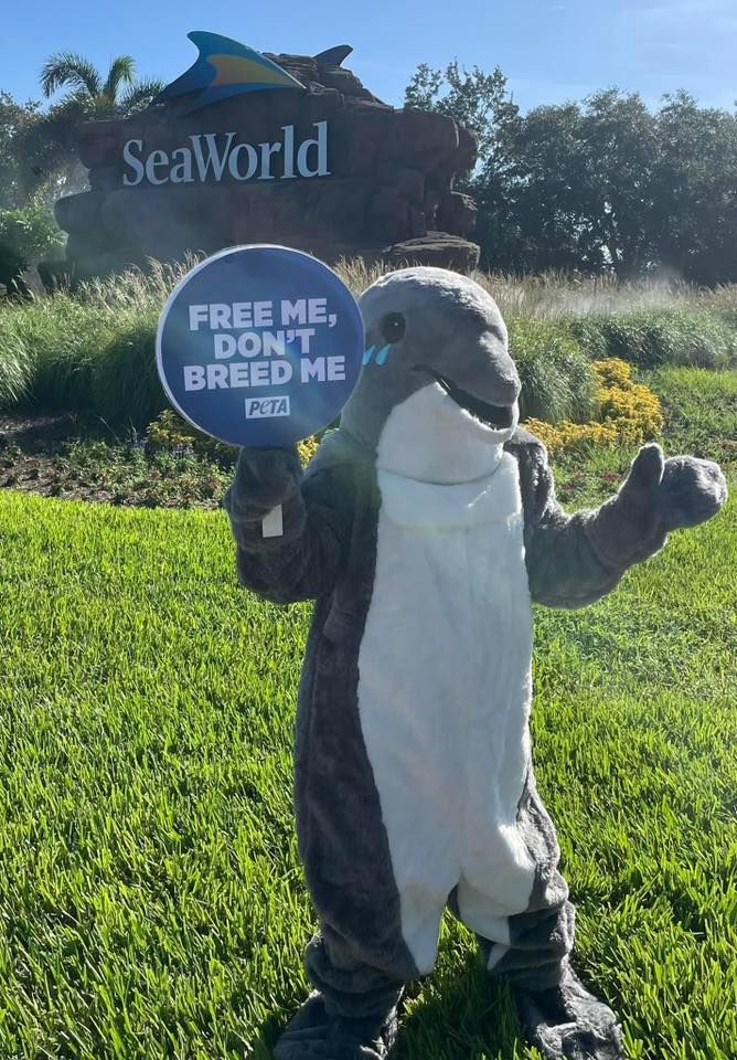 Protest Ludacris Performance At SeaWorld SeaWorld Orlando 26 protest-ludacris-performance-at-seaworld-seaworld-orlando-26