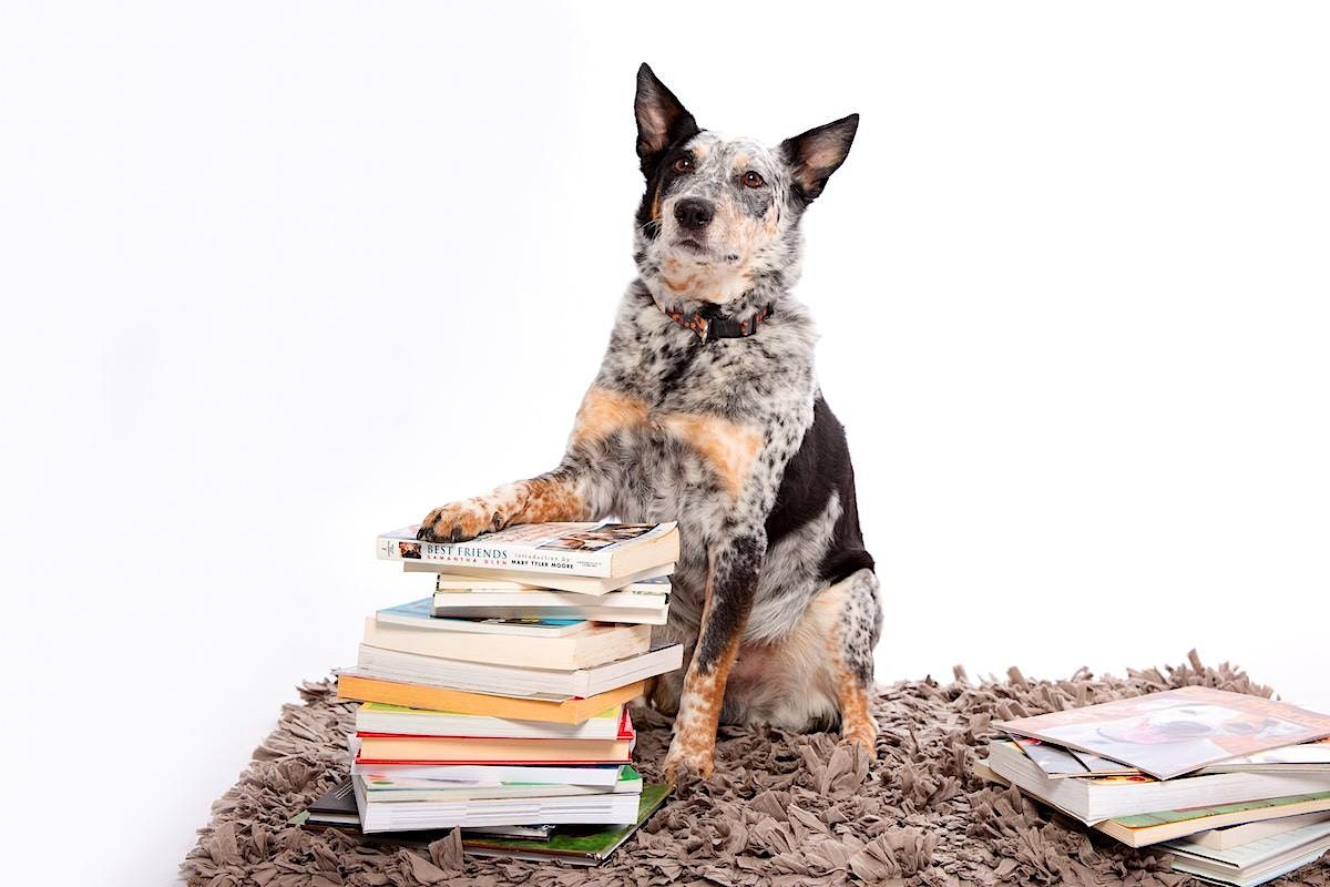 Best Friends Book Club Best Friends Pet Resource Center In NW Arkansas Best Friends Book Club Best Friends Pet Resource Center In NW Arkansas