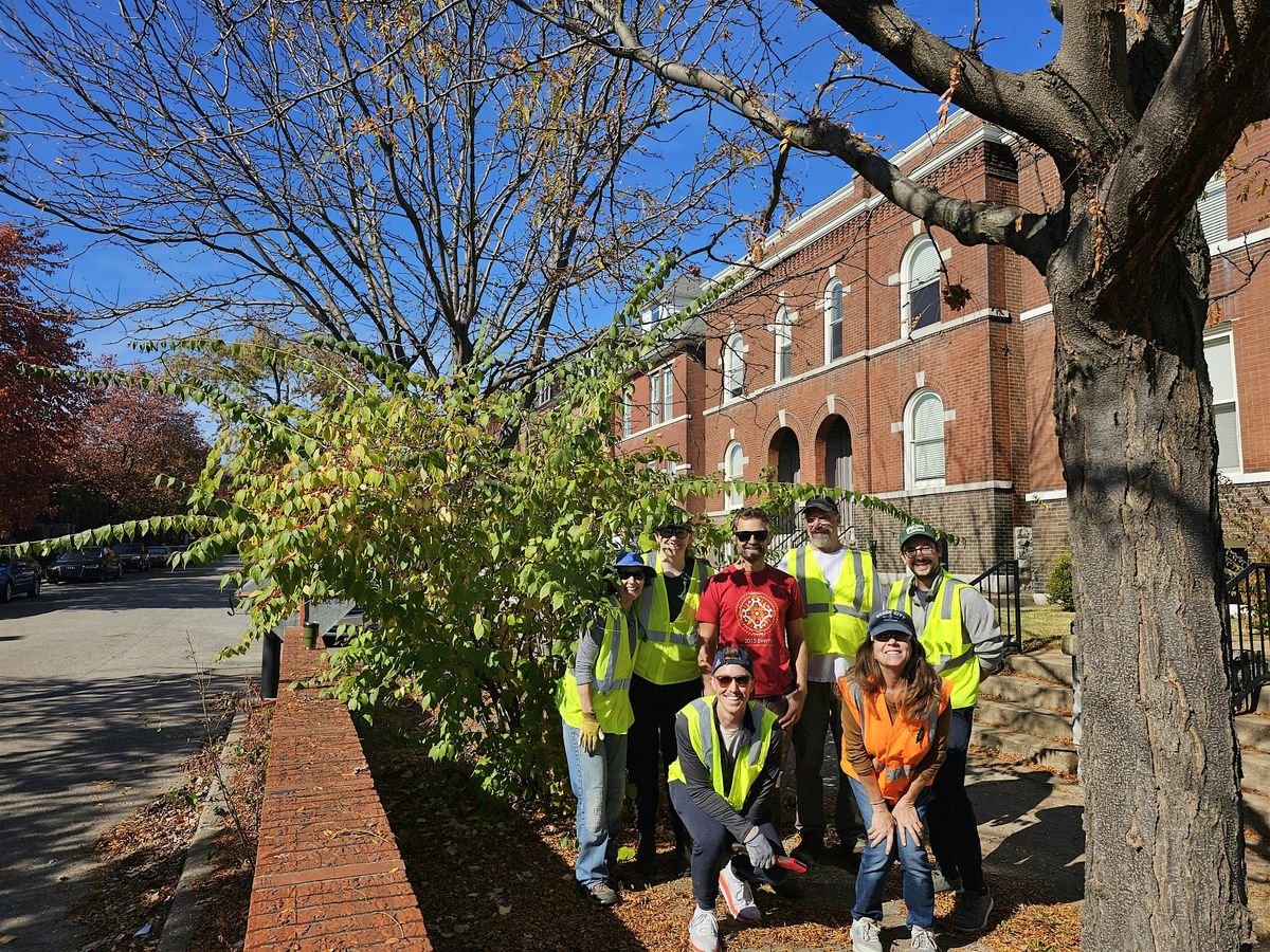 Forest Park Southeast Neighborhood Tree Care Blitz | Event in St. Louis | AllEvents
