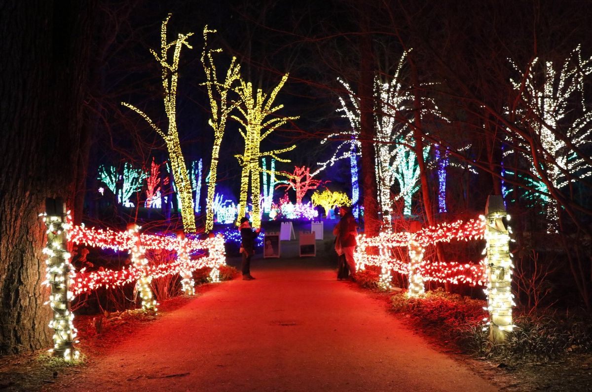Meadowlark's Winter Walk of Lights | Event in Vienna | AllEvents
