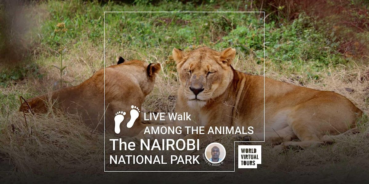 LIVE Walk among the ANIMALS in The Nairobi National Park, May 20 2023