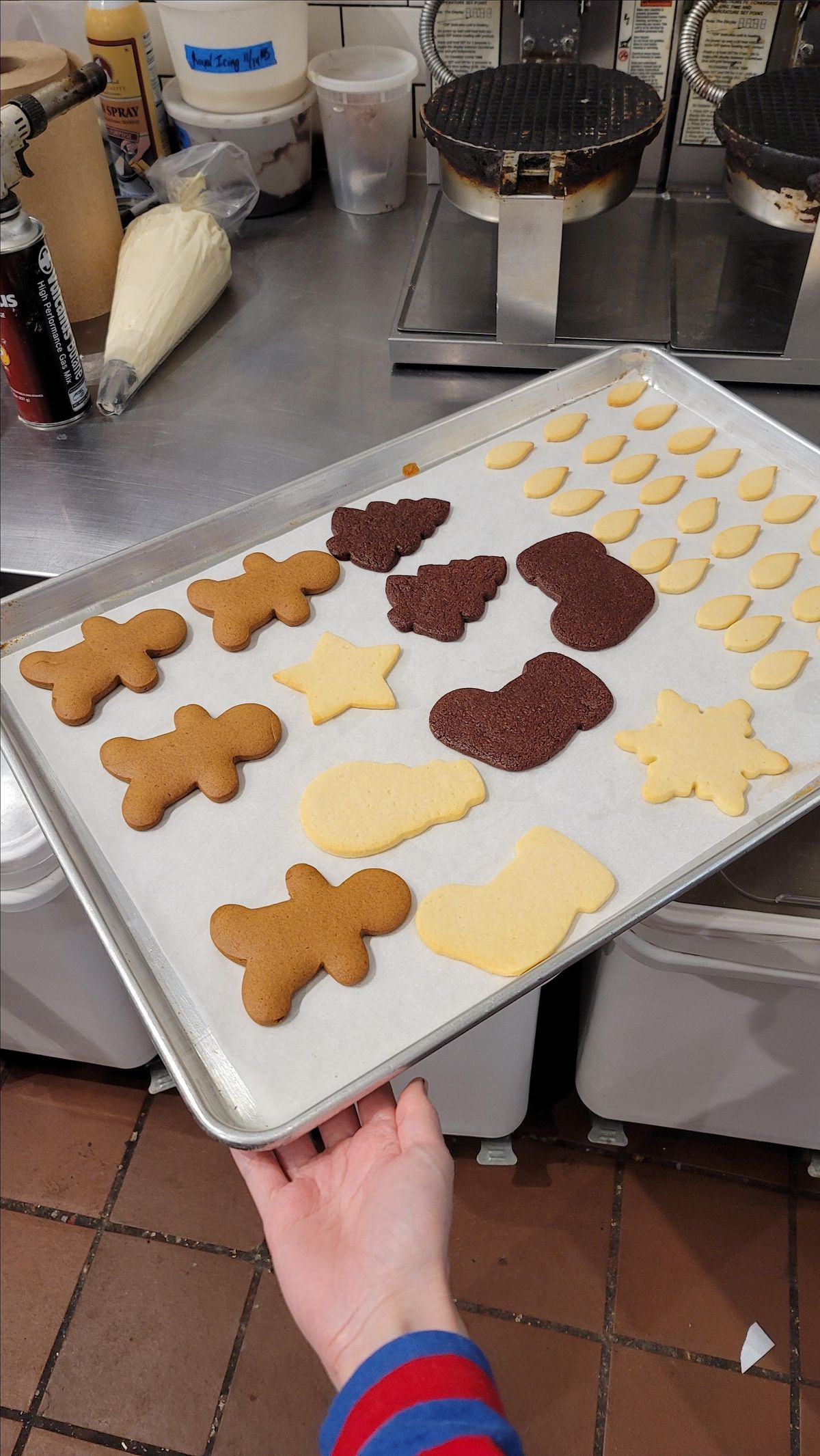 Holiday Cookie Decorating for Kids!, Creamery, Cambridge