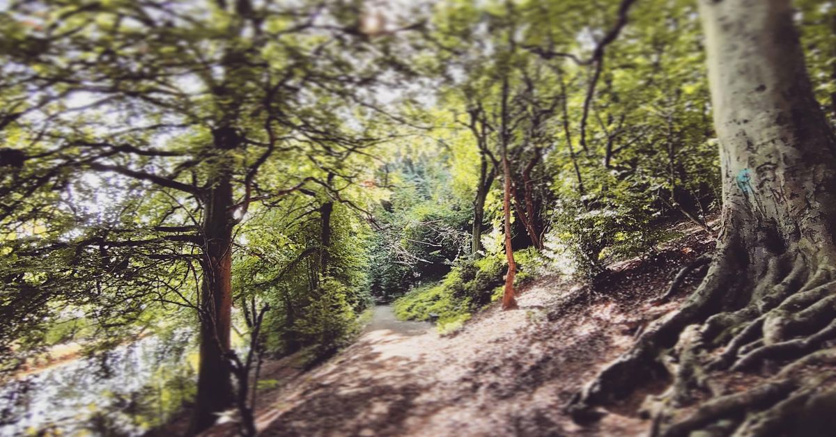 Netwalking Leeds River Aire