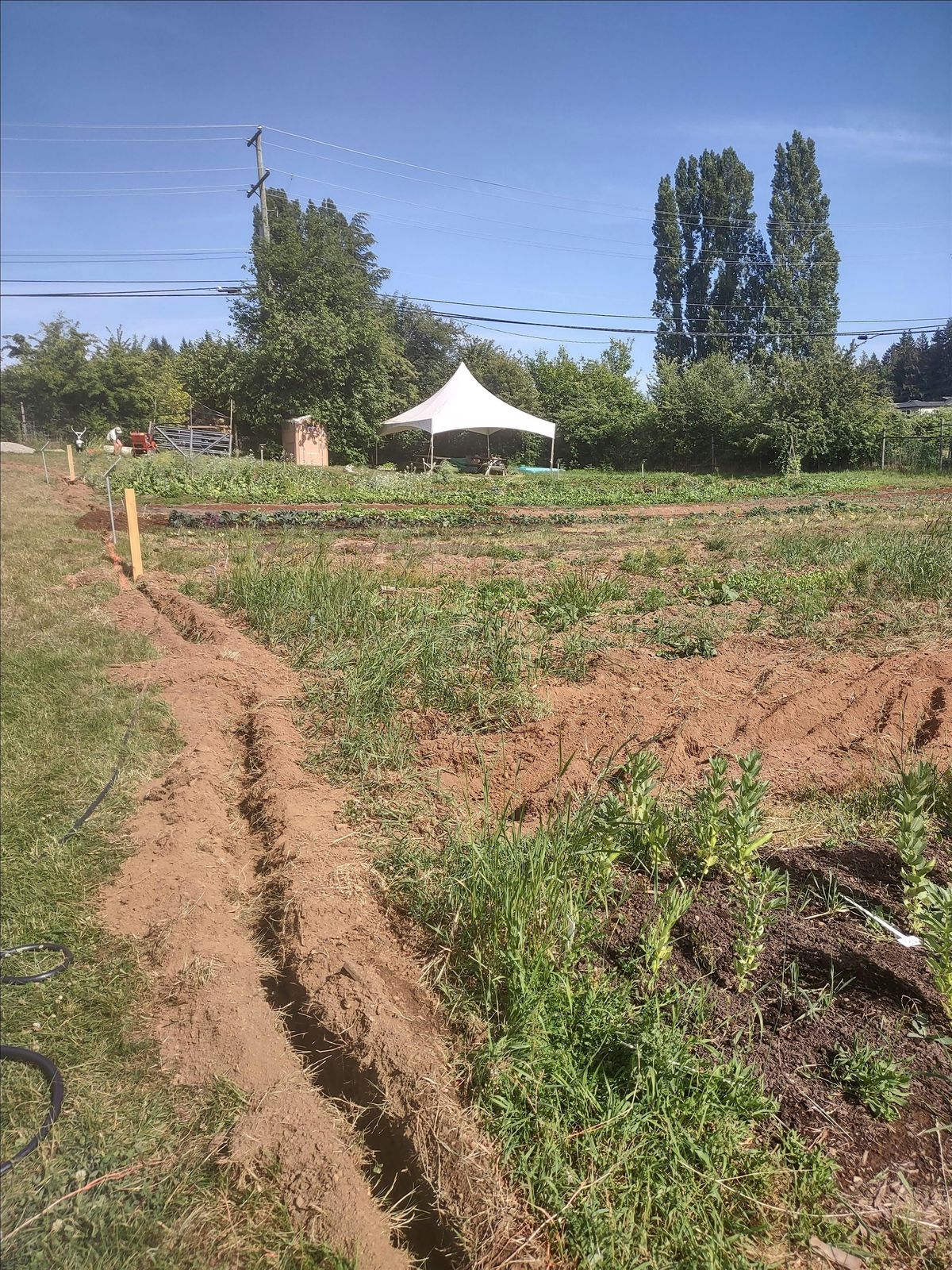 GET Gardening, Park Avenue Farm Foodshare outdoor farm classroom