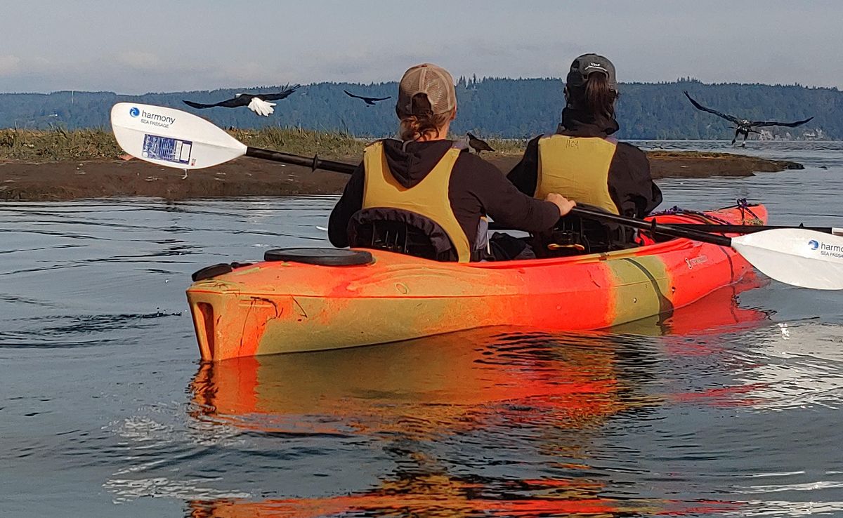 Dosewallips Estuary Wildlife Viewing Kayaking Tour, Hood Canal