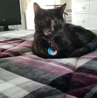 User profile photo