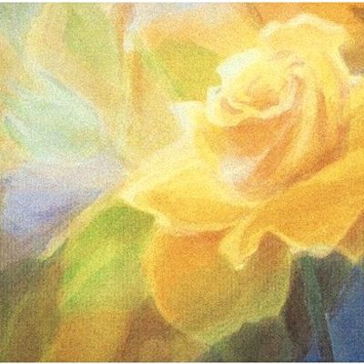 Introduction to Anthroposophic Medicine for Homeop