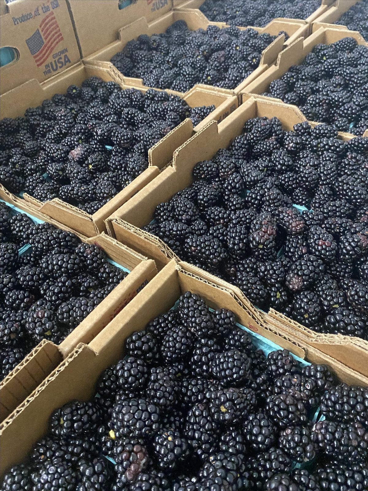 NC Produce Safety Professionals Conference, University Farm Pavilion