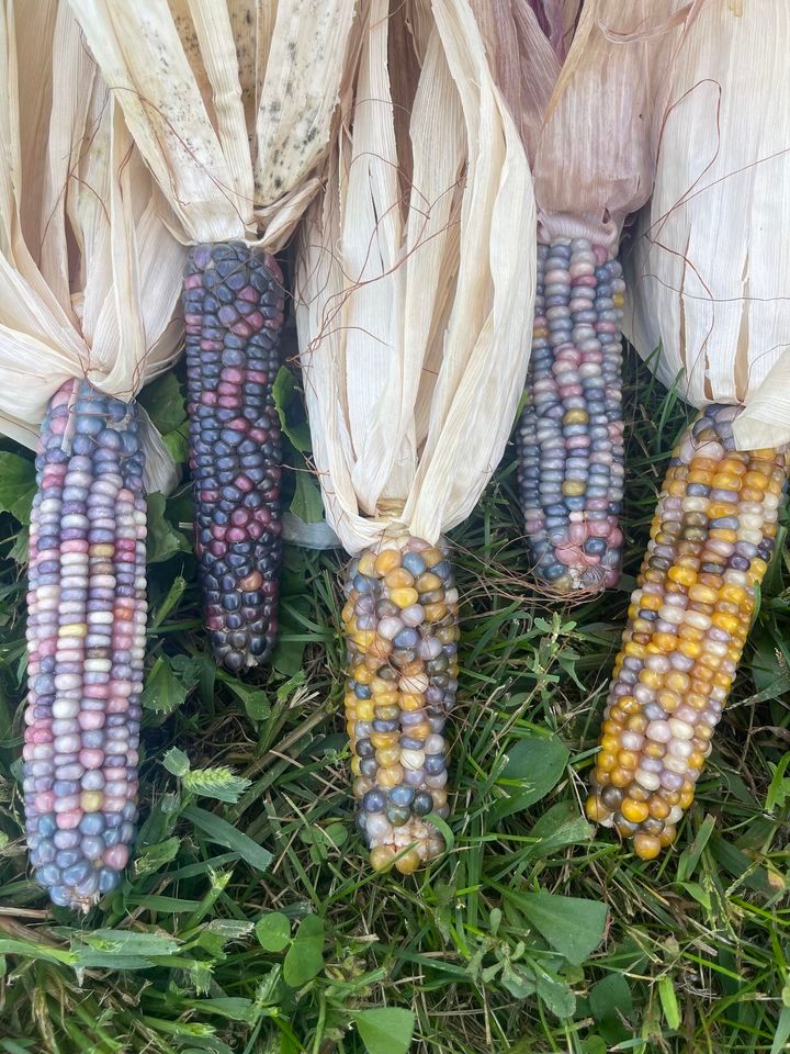 KCP Farmers Market / Vendor Fair, 604 East Market Street New Sharon IA