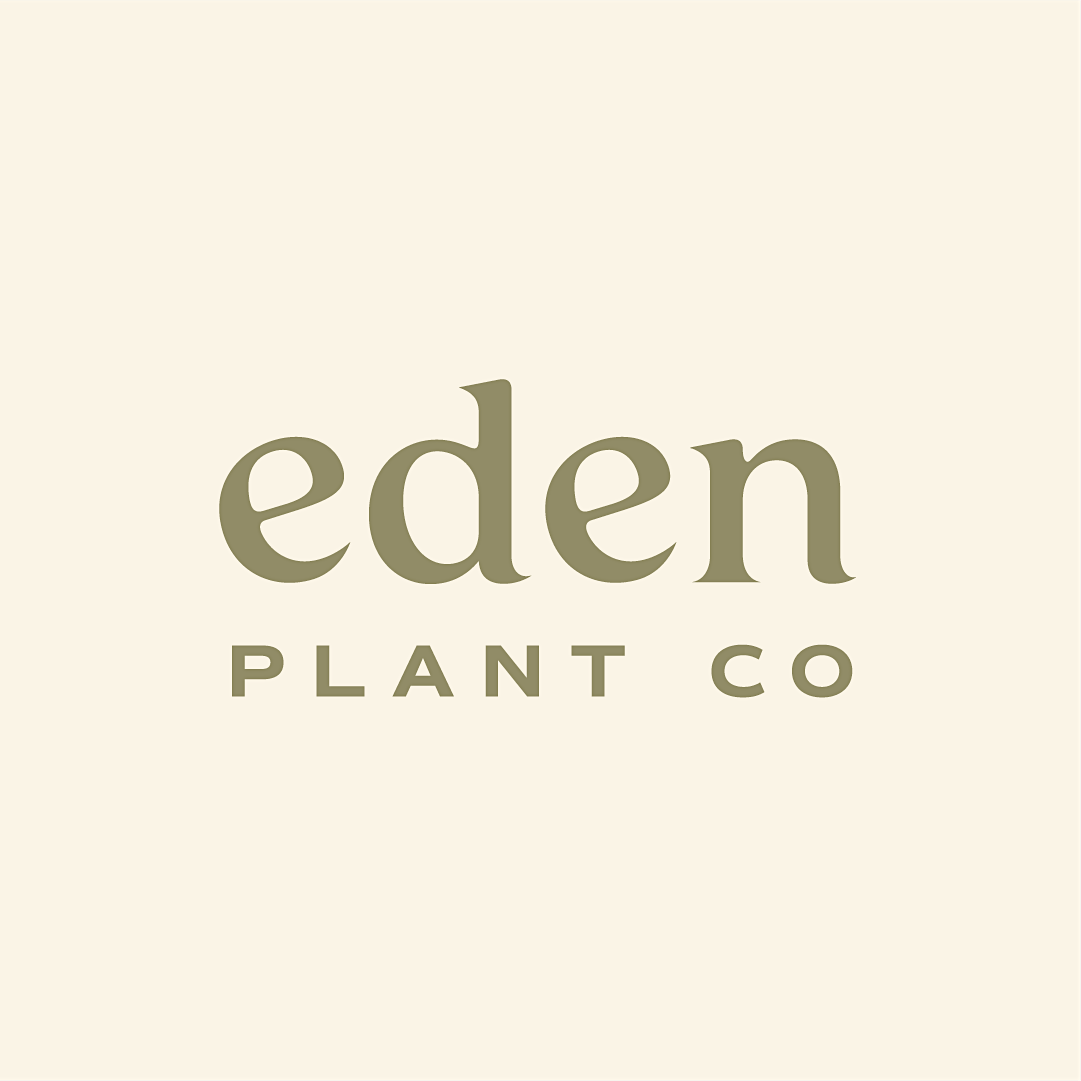 Prayer + Worship Night at Eden Plant Co, Eden Plant Co., Harrisburg