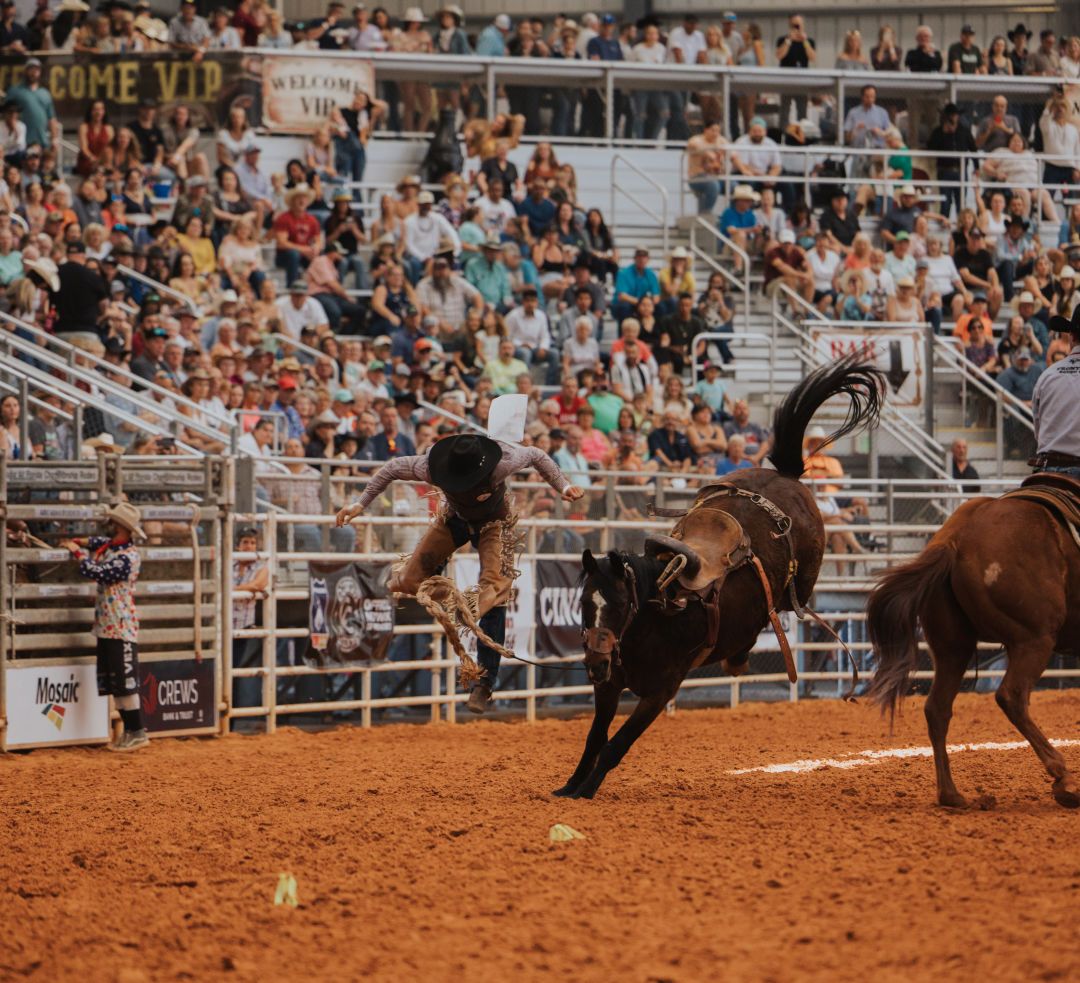 Arcadia Fall Rodeo, Mosaic Arena, Arcadia | AllEvents