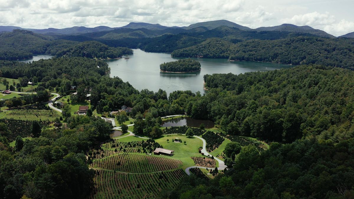 Tom Sawyer Chistmas Tree Farm Choose and Cut, Tom Sawyer Christmas Tree