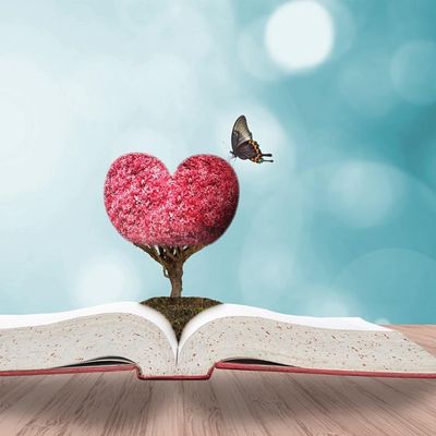 Swedenborg Open Learning Centre - SOLCe logo