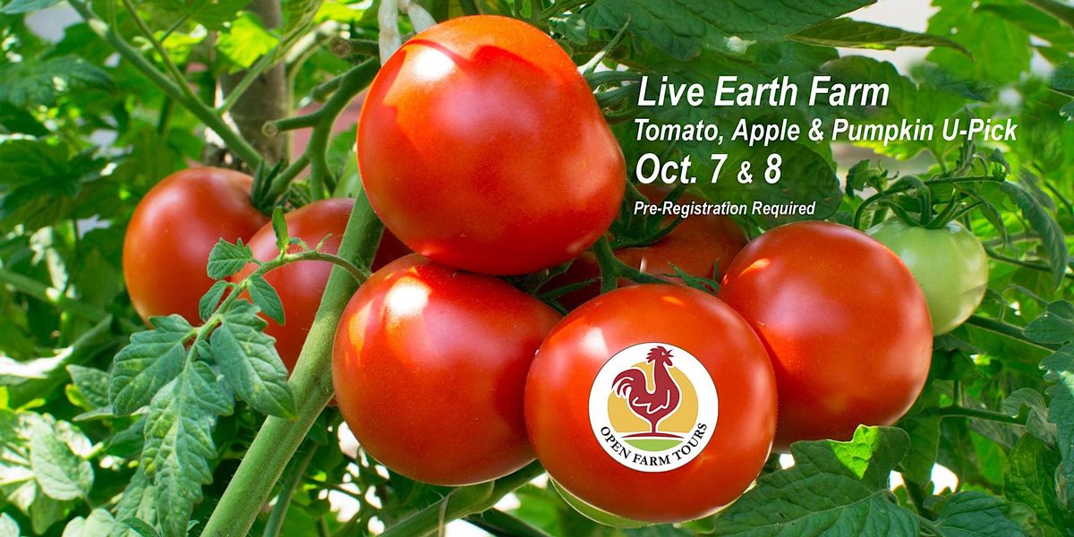 2023 OFT Live Earth Farm, Tomato, Apple & Pumpkin UPick, Live Earth