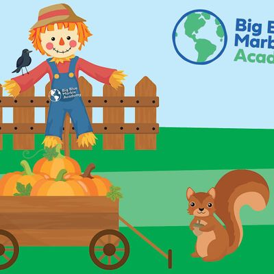 BBMA Canton Fall Festival, Big Blue Marble Academy - Canton, October 21