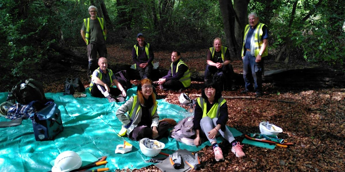 Volunteer days: hands-on conservation in Epping Forest (Thursdays) | Event in Loughton | AllEvents