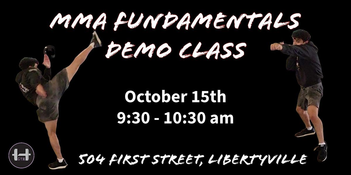 MMA Fundamentals Demo Class, Heather's Gym, Libertyville, 15 October