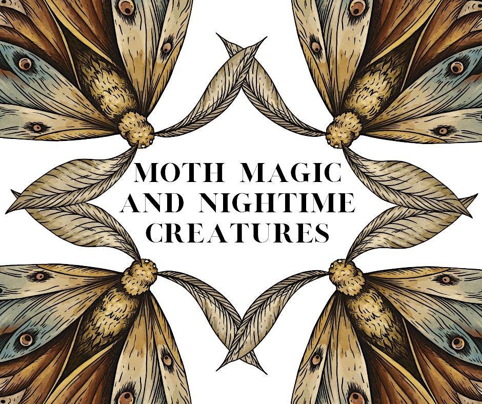 Twilight at the Museum of Zoology: Magic Moths and Nightime Creatures ...