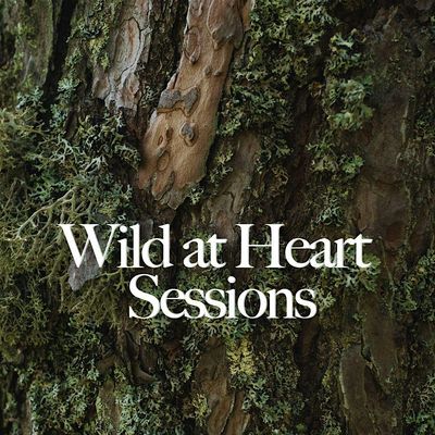 Wild at Heart Sessions logo
