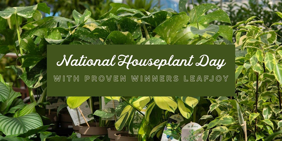 National Houseplant Day at Mahoney’s Winchester with Proven Winners Leafjoy, 10 January | Event in Winchester
