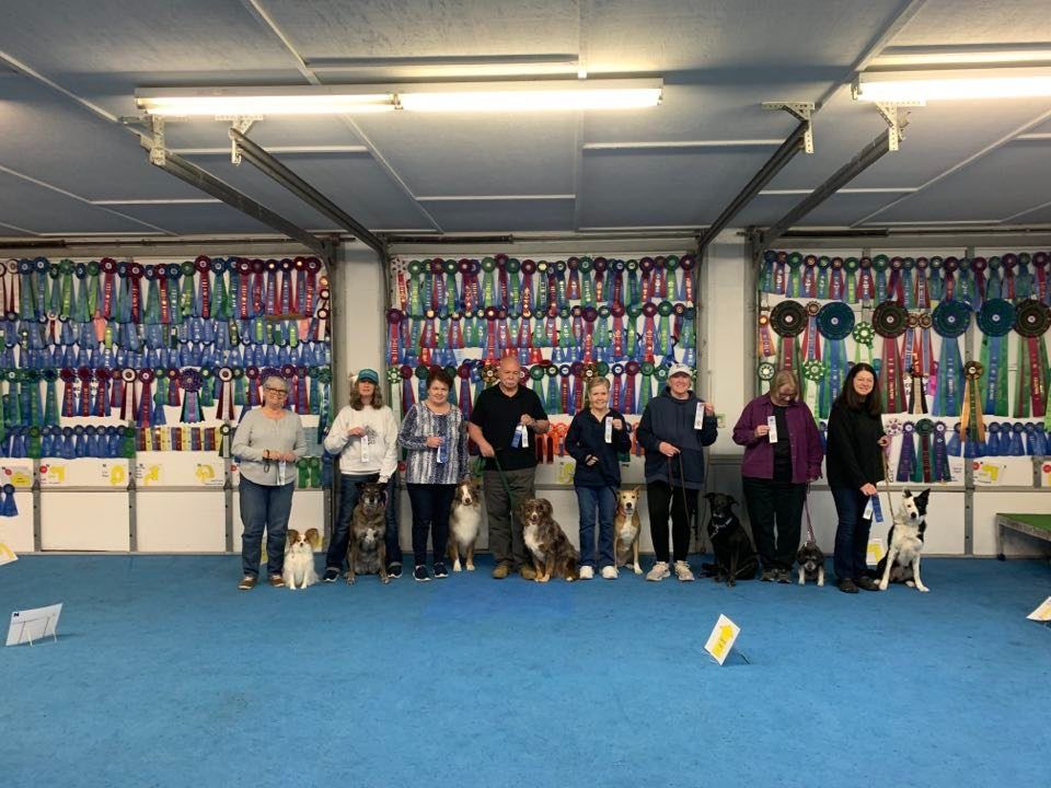 Basic Obedience Class, Riverrun Dog Training, Fayetteville, January 6