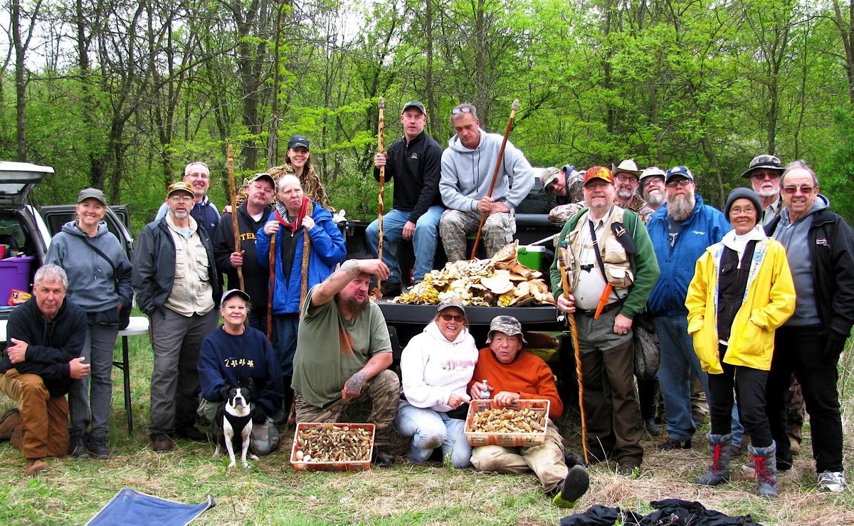 2023 Saint Louis, Missouri Morel Mushroom Hunting Foray, 21 April to 23