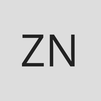 Zambian Network logo