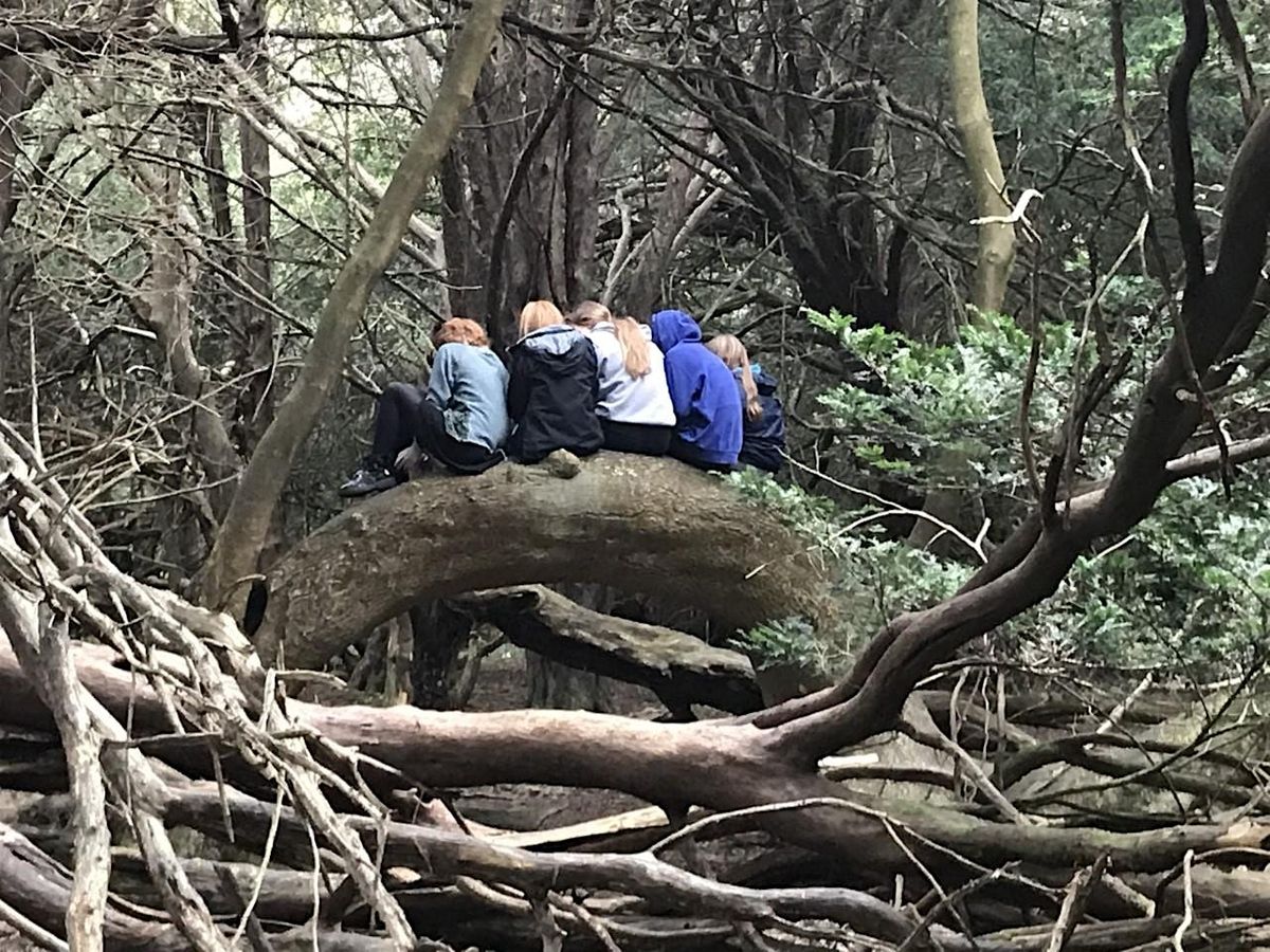 Space to Breathe Girls woodland support group ages 1116yrs, Brandy Hole Copse Wood