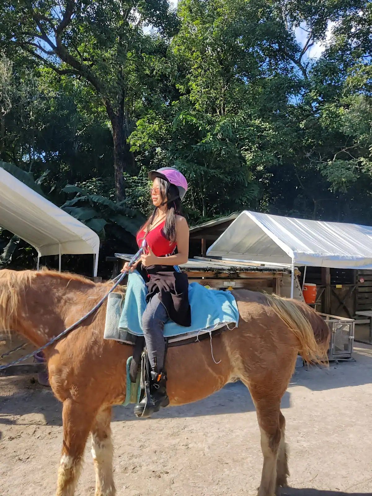 Go visit horse and farm animals with an Asian animal therapy, 551 NE 167th St, North Miami Beach, March 5 2023 Go visit horse and farm animals with an Asian animal therapy, 551 NE 167th St, North Miami Beach, March 5 2023