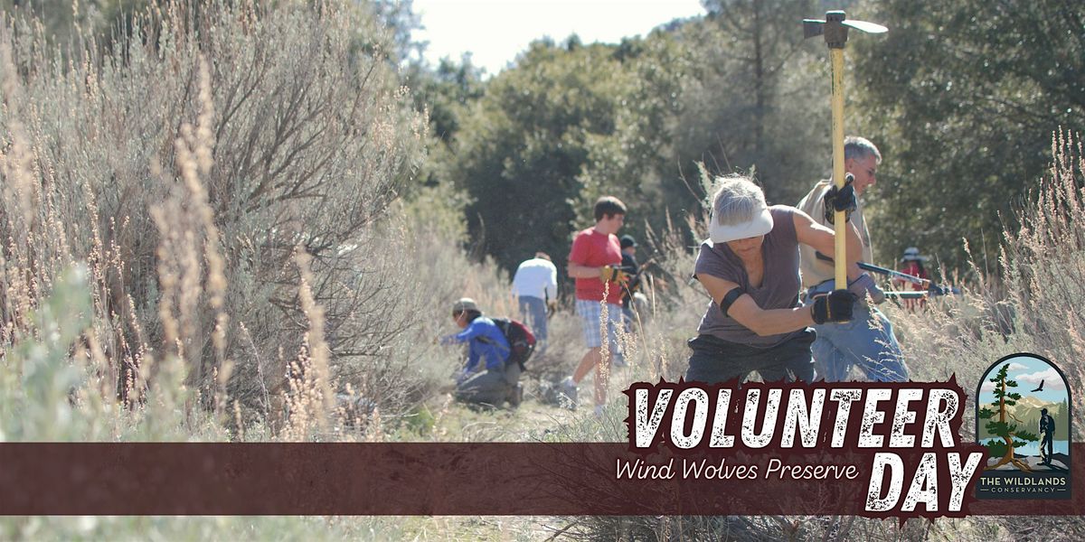 Volunteer Day: Trail Maintenance-  Wind Wolves Preserve