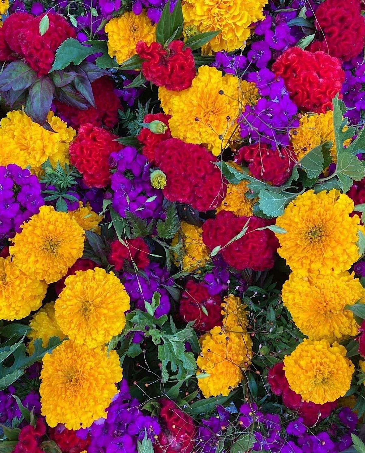 Celebrate Pride! Flower Arranging Boston Public Market, 8