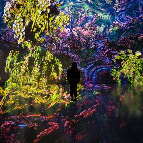 ARTECHOUSE Presents: Fractal Worlds | Event in Houston | AllEvents